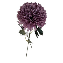 Load image into Gallery viewer, Allium Pick 22&quot;
