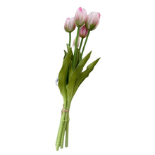 Load image into Gallery viewer, Tulip Bunch 5pcs
