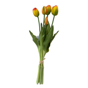 Tulip Bunch 5pcs