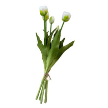 Load image into Gallery viewer, Tulip Bunch 5pcs
