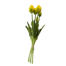 Load image into Gallery viewer, Tulip Bunch 5pcs
