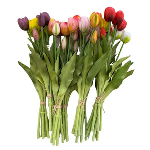 Tulip Bunch 5pcs